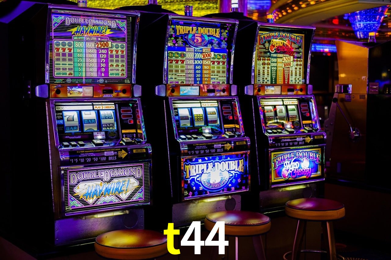 Programa VIP t44